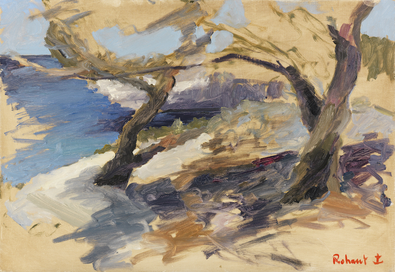 Art Menorca